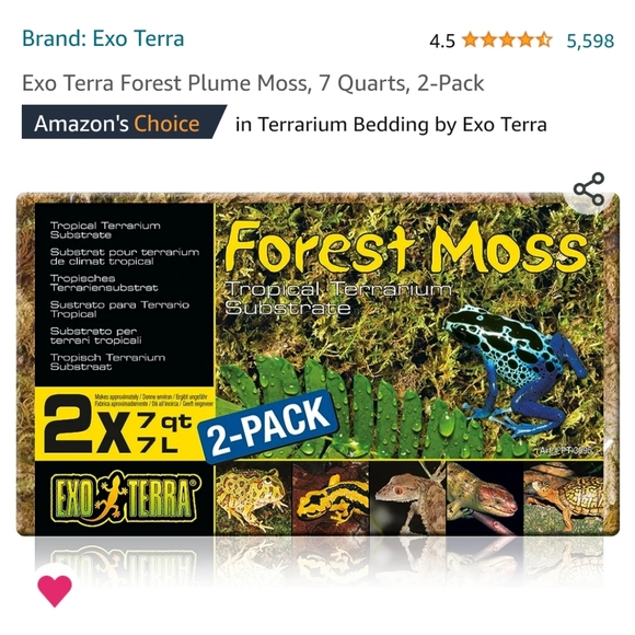 Reptile bundle - Picture 6 of 7